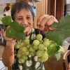 ぶどう🍇