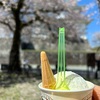 50代癒しのおひとり様活動：小田原城と桜とジェラート