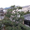 テニスラウンジ宝塚 6人(2-4) , 12,196歩 , 火-B , 平t