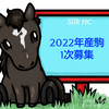 シルク出資2歳馬エネルジコ最新情報(2024/03/01)