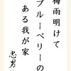 梅雨明けてブルーベリーのある我が家　　