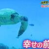 「ナカイの窓」ハワイロケ前編☆虹ノムコウへ・・