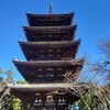 【京都】『仁和寺』「京の冬の旅」に行ってきました。