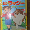 １１月６日　ホーム一個小隊・・・サゴシ回避ミッション♪