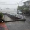 The Big Typhoon