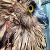 湖畔に広がる花と鳥の楽園　松江フォーゲルパーク