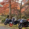 山南町～多可町 紅葉ツーリング