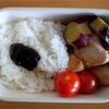 2019/1/16の弁当