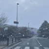 雪景色の京都も見納めかな！