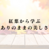 紅葉から学ぶありのままの美しさ｜本当の自分を見せる勇気