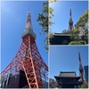 晴天にはえる東京タワーと美味しいお肉