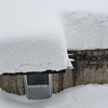 まぁ、毎年似たような風景でありますが⛄