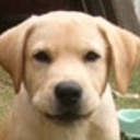 ことばを食する