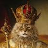 猫王国と猫王の話でもしよう