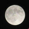 デザートムーンのつもり♪（スーパームーン）