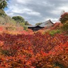 （京都ぶらぶら）東福寺と陶器市