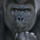 GoRiLlaPaPa’s blog