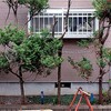 植木枯れ