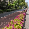 ウテナの坂（世田谷区）