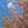 イケてない連休【これが現実】