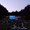 映画鑑賞会