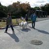 ○淡路島公園