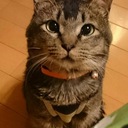 yoshigaikunの日記