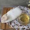 入眠困難とメンタルクリニック