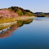 田ヶ池（静岡県掛川）