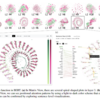 今日の論文2023/05/11, 12：AttentionViz: A Global View of Transformer Attention