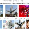 199　「縄文十柱」からの未来