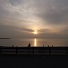 今日もお散歩