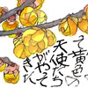 【西東京の植物絵手紙（3）…泉町・如意輪寺に咲き始めたろうばいの花！】
