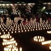 人間交差点