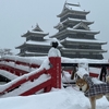 タロウと雪の松本城へ