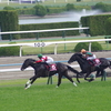 ＜阪神芝1800 傾向＞父ディープインパクト×母父ミスプロ系が最強配合！