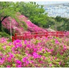 淡輪遊園ｰあたご山のつつじ