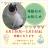 ５月の休診日お知らせ🐾