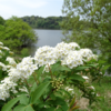 袖ケ浦公園の近況