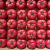 今週のお題「夏野菜」