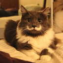 PLUM blog
