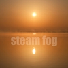 steam fog