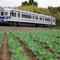 2025-04-12撮影｜銚子電鉄 (22005編成 "次郎右衛門")
