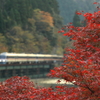 紅葉の飛騨路でキハ85系「ひだ」を撮る その4　晩秋の高山遠征⑤