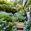 雲昌寺　あじさいカフェ（秋田県男鹿市）