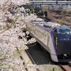 お散歩　4/4/25　桜とE353系