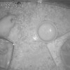 みるくあん525日目