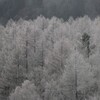 飛騨の冬景色　【平湯峠】