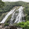 【屋久島】名瀑百選 大川の滝（おおこのたき）