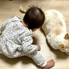 こっつんこ